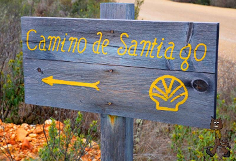 camino santiago